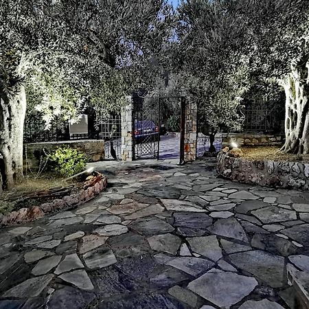 Elaion Thea-Nies Villa Sourpi Bagian luar foto