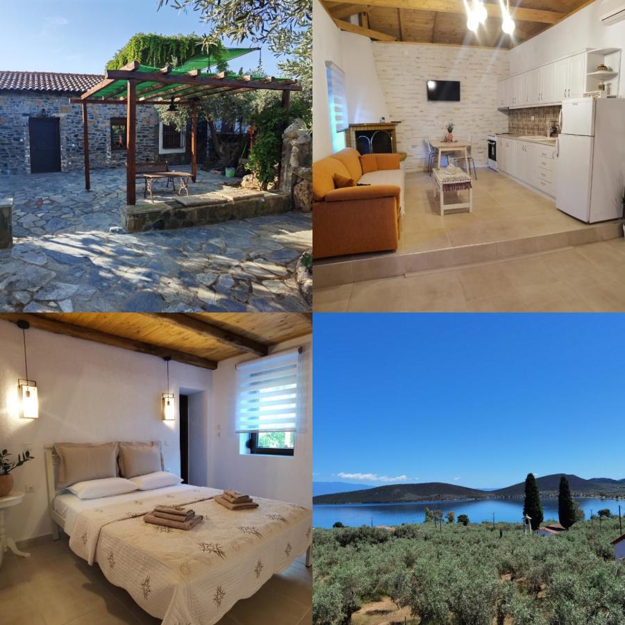 Elaion Thea-Nies Villa Sourpi Bagian luar foto