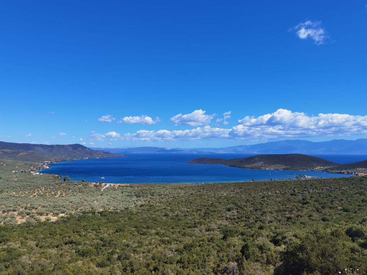 Elaion Thea-Nies Villa Sourpi Bagian luar foto