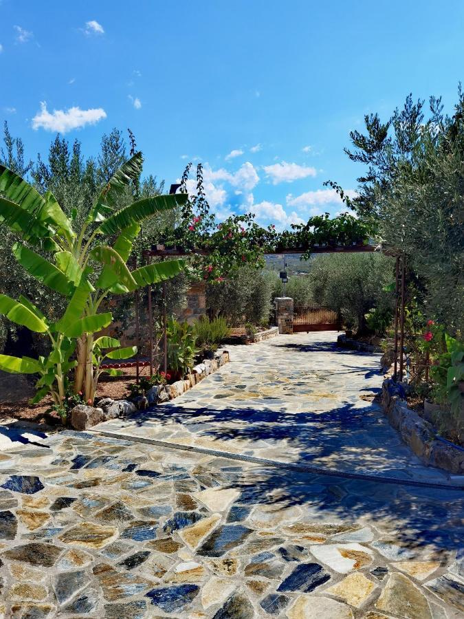 Elaion Thea-Nies Villa Sourpi Bagian luar foto