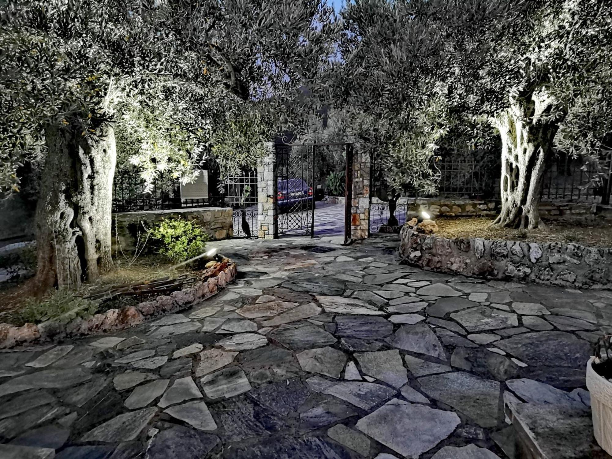 Elaion Thea-Nies Villa Sourpi Bagian luar foto